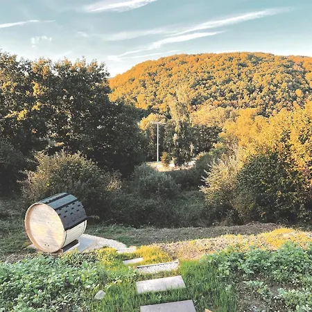 Tiny House Mit Whirlpool Und Sauna Vakantiehuis